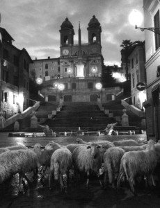 Il libro